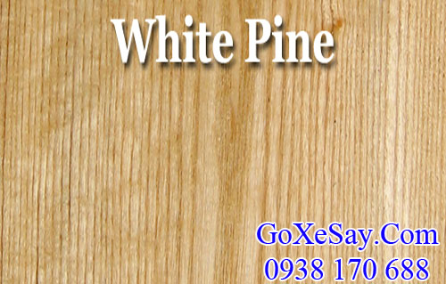 vân gỗ thông trắng (gỗ white pine)