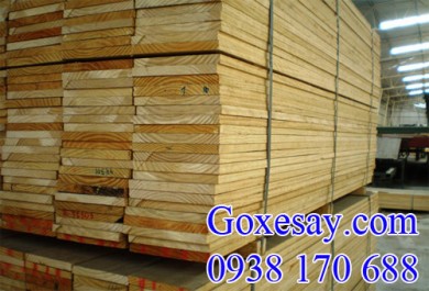 Nhu cầu gỗ nguyên liệu ở nước ta rất lớn