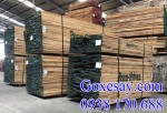 Báo giá gỗ Sồi nguyên liệu cho chủ xưởng sản xuất nội thất?