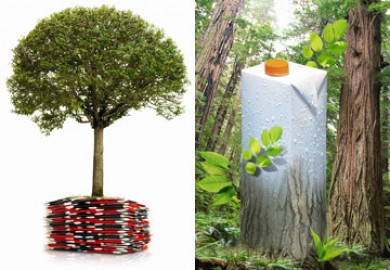 Bảo vệ nguồn rừng và tài nguyên bằng cách tiêu dùng sản phẩm FSC