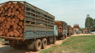 EU và Indonesia ký kết thỏa thuận cấm buôn lậu gỗ