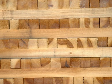 Gỗ bạch dương là nguyên liệu gỗ tốt nhất trong xây dựng