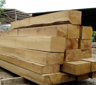 Cam Xe (Pyinkado) Lumber