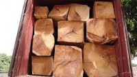 African Lumber