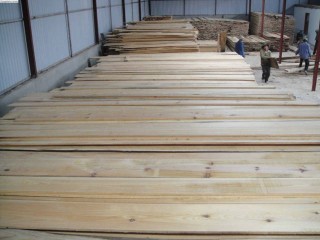Vietnam Pine Lumber