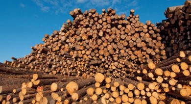 Hoa Kỳ, Trung Quốc bỏ trên 4 tỷ USD nhập khẩu gỗ của Việt Nam
