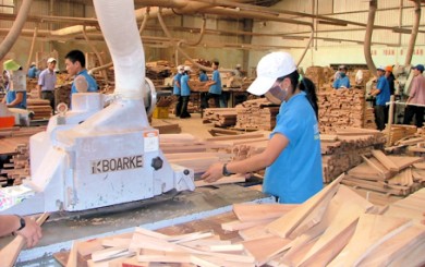 Ngành gỗ: lấy chế biến làm trung tâm để phát triển các ngành phụ trợ