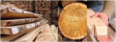 Nhập khẩu gỗ nguyên liệu từ EU tăng mạnh