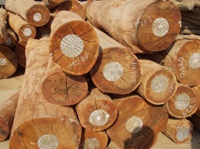 Thủ tục xin phép nhập khẩu gỗ từ Campuchia