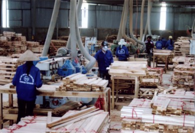 Tổng quan về ngành công nghiệp gỗ - Quy mô, năng lực sản xuất