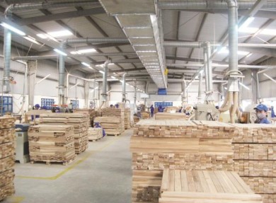 Xuất khẩu gỗ: Tăng trưởng mạnh, tiềm năng lớn