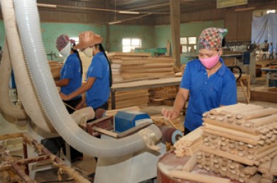 Xuất khẩu gỗ và các sản phẩm gỗ trong tháng 2/2013 đạt 342 triệu USD