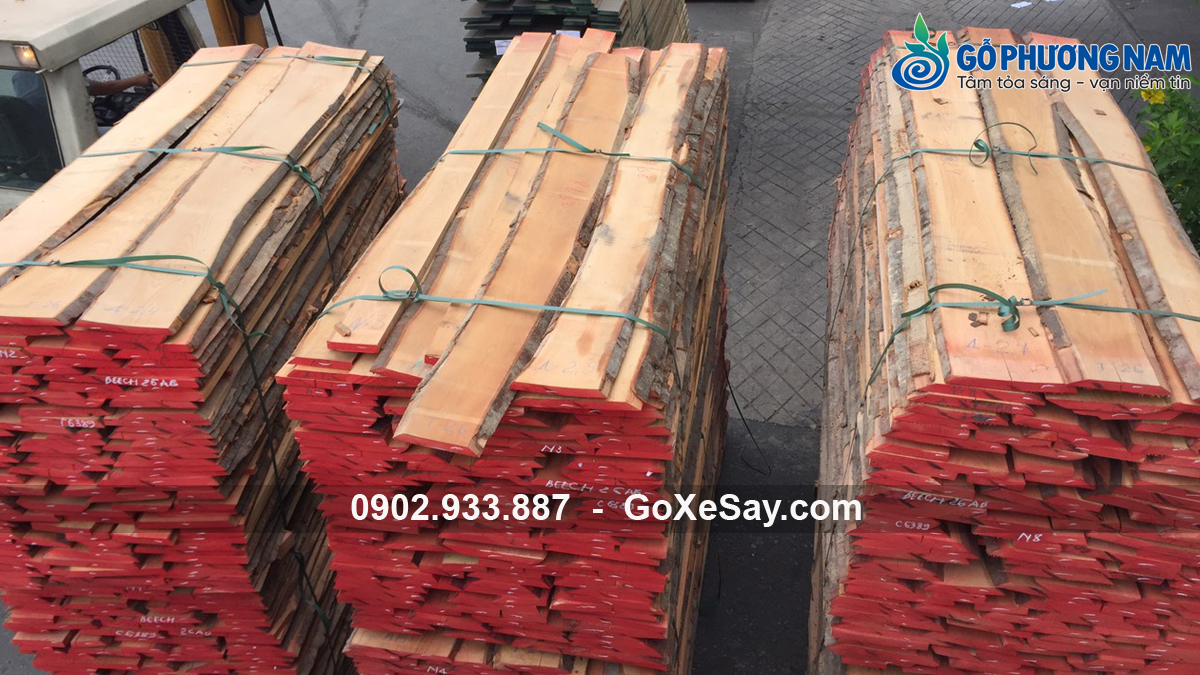 bán gỗ beech nhập khẩu chuyên nghiệp