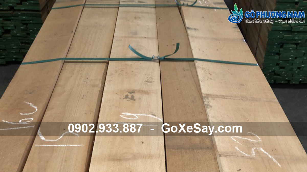 Kho cung cấp gỗ beech nhập khẩu