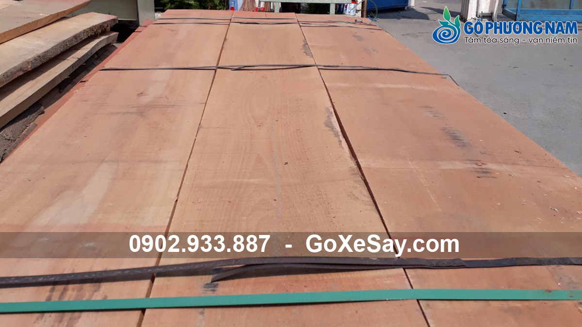Gỗ beech giá kho cho xưởng mộc