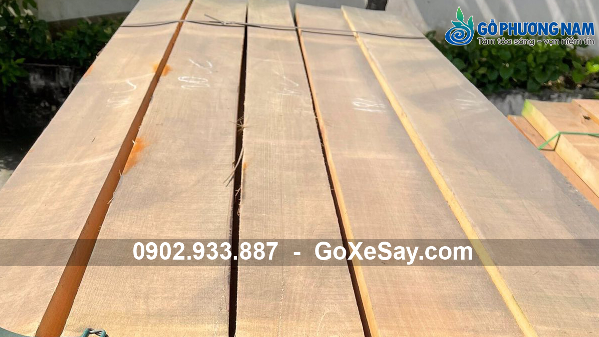 Gỗ beech làm nội thất bền đẹp gỗ beech làm nội thất bền đẹp