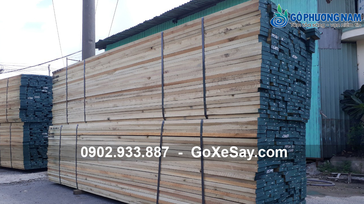Nhà cung cấp gỗ Poplar giá sỉ uy tín chất lượng