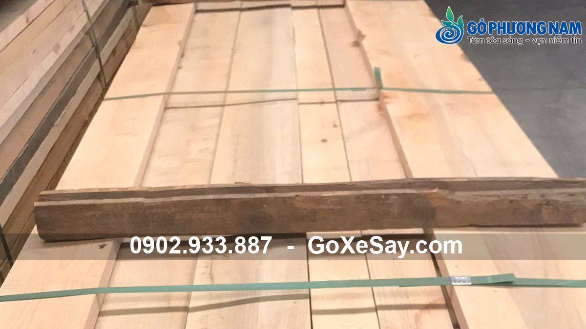 Gỗ tần bì bao nhiêu 1m3 tại kho