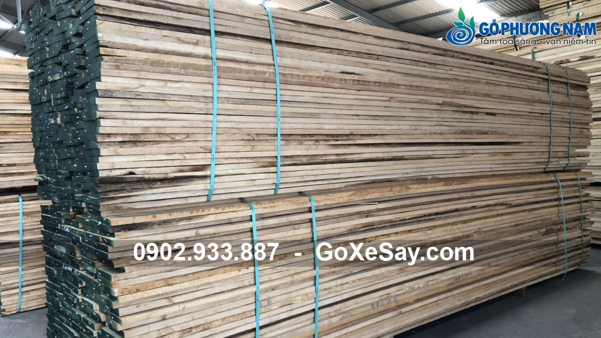 Giá 1m3 gỗ tần bì mới nhất
