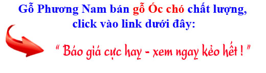 giá bán gỗ óc chó (gỗ walnut) Mỹ nguyên liệu nhập khẩu