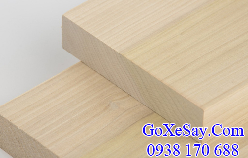 gỗ bạch dương (gỗ poplar) xẻ sấy