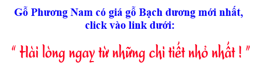 gỗ Phương Nam có giá gỗ bạch dương (gỗ poplar) nhập khẩu mới