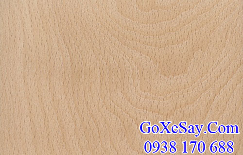 vân gỗ dẻ gai (beech) Mỹ